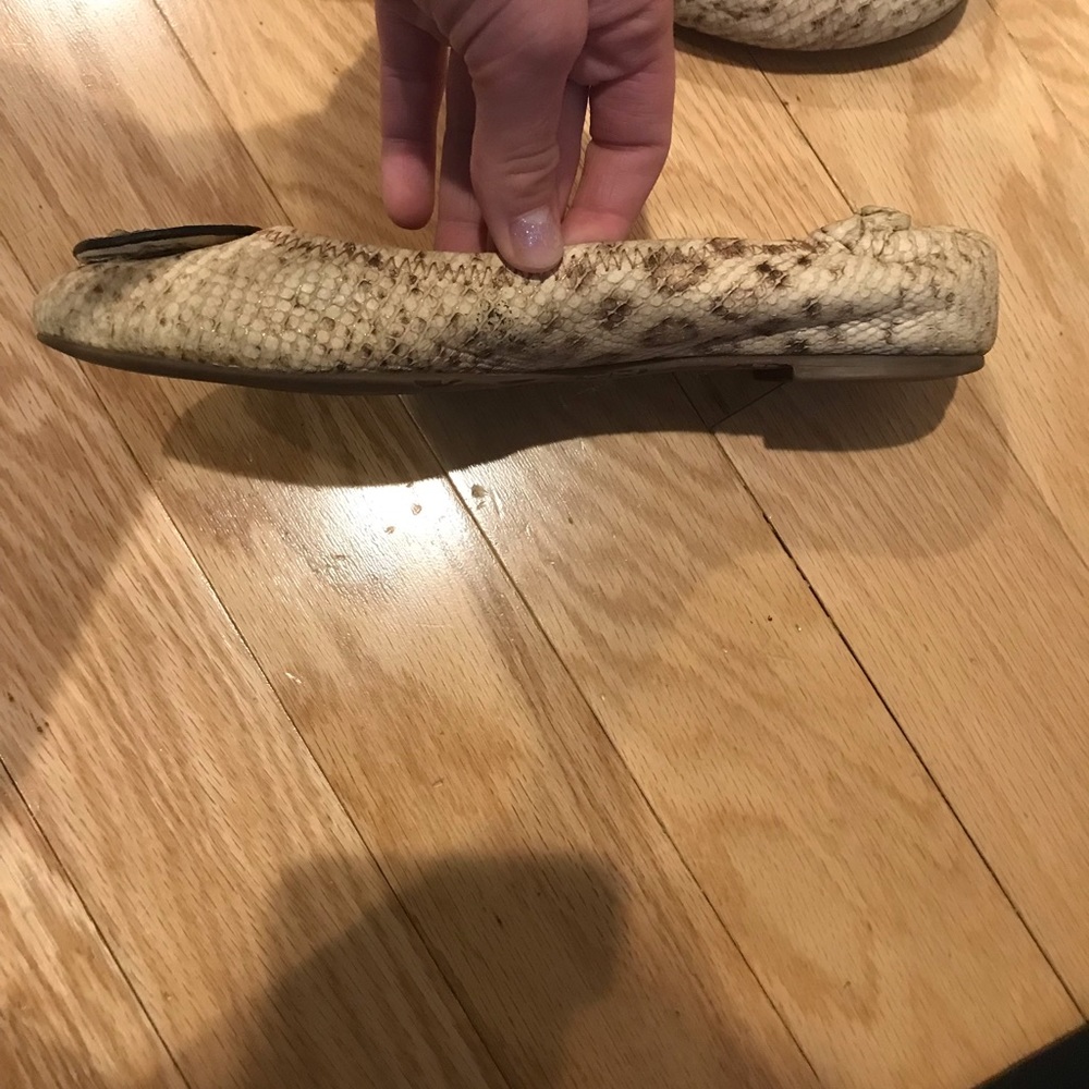 Tory Burch Flats Snake Print - Picture 8 of 9